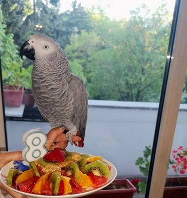 Джаро отпразнува през месец май 8-ия си рожден ден