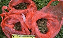 Над килограм марихуана иззета от полицията при акция в Новозагорско