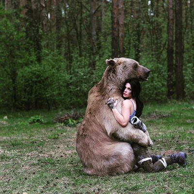Кафявите мечки замениха хората из Чернобил