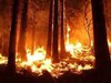 Лозята в долината Напа в Калифорния са</p><p>обхванати от пожари