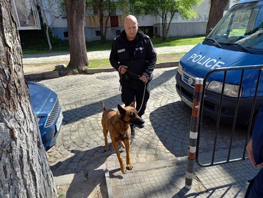 Полицай с куче влиза в СУ "Паисий Хилендарски" в Пловдив след отправената заплаха за бомба на 31 март.