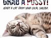 Организацията PETA стартира кампания "Грабни си котенце"