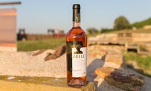 „Аполония” става на 35 с най-награждаваното българско вино Kabile