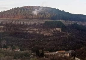 Изгасиха пожара в гората на "Гарга Баир" край Търново