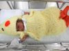 Болница облича новородените като пилета (снимки)