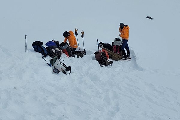 Единственият оцелял - сноубордистът и фотограф Дейвид Хорват, е в тежко, но стабилно състояние в болница в Анкоридж.