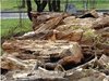 Дървосекач загина в Преславския балкан, часове екипите не могат да стигнат до него
