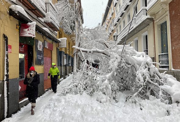 Сняг и откършени дървета покриват улица в Мадрид.

