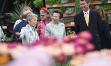 Изложението за цветя в Челси е най-популярното във Великобритания