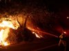 Осем пожара продължават да горят в щата Калифорния (Видео + Снимки)