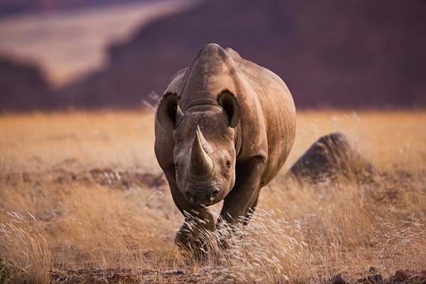 Снимка: nationalgeographic.com