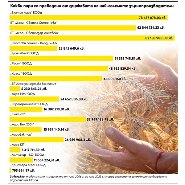 Bulgarian Grain Producers Receive Billions in Subsidies: Who are the Top Beneficiaries?