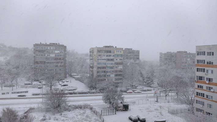 Снежна покривка от 8 см натрупа и в Силистра СНИМКА: Фейсбук/ Метеорологична обсерватория Силистра