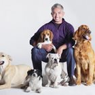 Съветите на Сизър Милан - говорещият с кучета