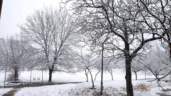 Сняг в Горна Оряховица