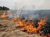 Система в природен парк предотврати пожар