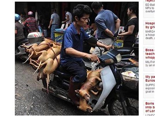 Китайски търговец разнася из пазара трупове на кучета за продан.
Снимка: Архив