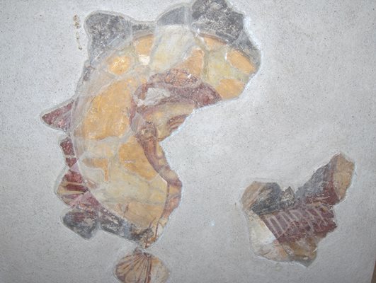 Най-ранният човешки образ в стенопис от Велики Преслав (X-ХІ в.)
