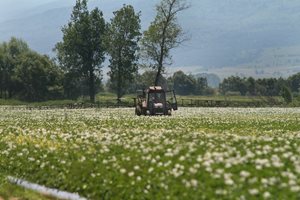 Декар стигна 4000 лева, но излязат ли ниви на пазара, бързо се купуват