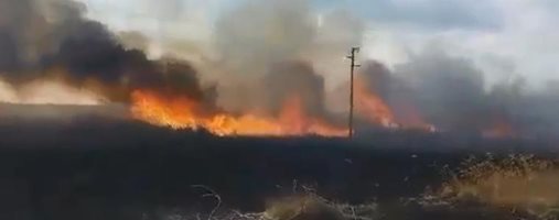 Изгоряха 250 дка тръстикова растителност и сухи треви край Дуранкулашкото езеро