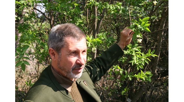 Маринов показва уникални растителни видове.