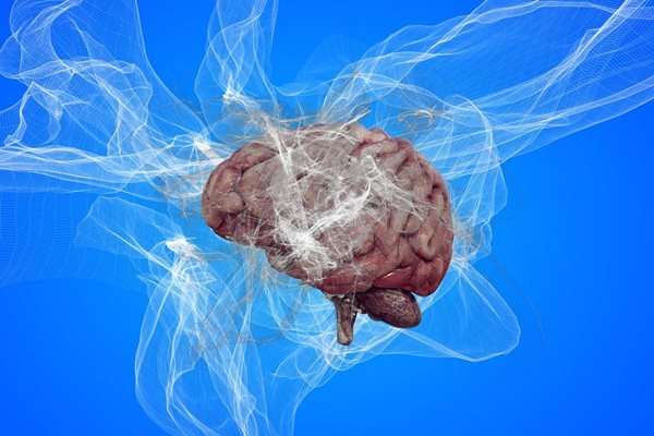 Изненадващо свързаха фиброзата на черния дроб с влошаване на умствените способности