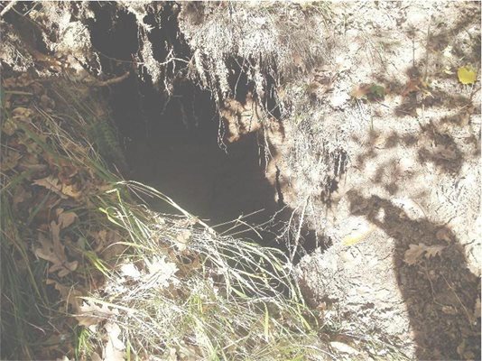 Въпросната дупка, под която зейнала голяма пещера с подводна река.
СНИМКА: АВТОРЪТ