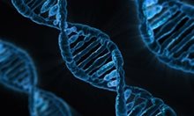 Специалисти откриха гени, свързани с риска от преждевременна смърт