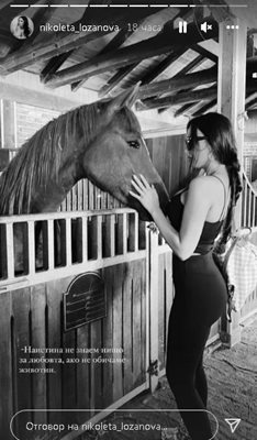 Николета остана очарована от конете