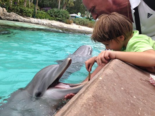 Джейсън храни делфини в "Дисни Уърлд".
