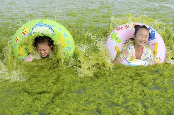 Деца се забавляват, докато плуват във вода, пълна с водорасли край китайския град Циндао.