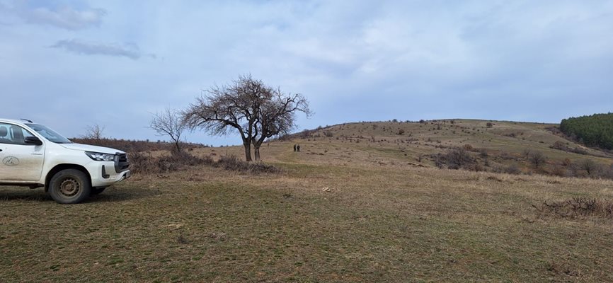 Голяма група от обучени хора я издирват в широк периметър.