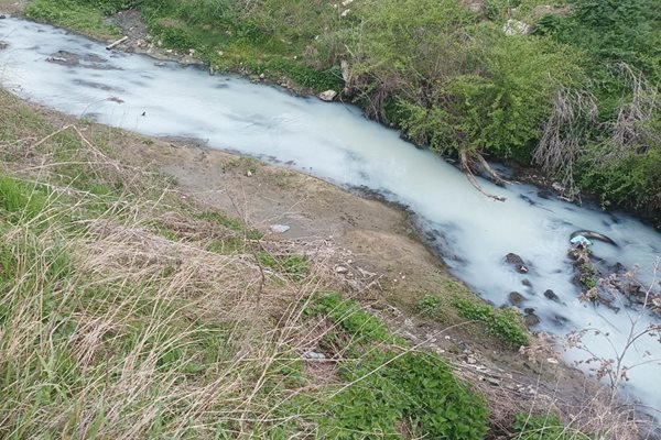 Проверка на РИОСВ трябва да установи каква е причината за побеляването на реката. Снимки: Фейсбук