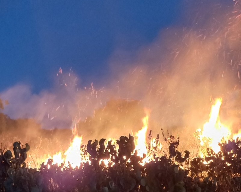 Пожар гори в близост до автомагистрала "Тракия" край Чирпан