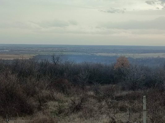 Изгорял район край пловдивско село.


Снимка: Регионална дирекция "Пожарна безопасност и защита на населението"-Пловдив.