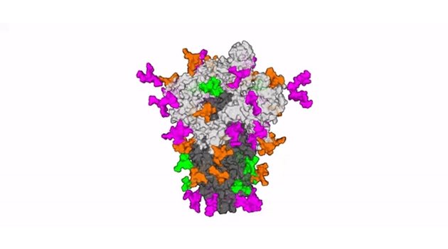 3D моделът на вируса, разработен от учените в Саутхемптън. 