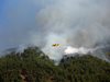 Хиляди са евакуирани заради пожар на остров Палма