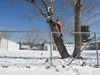 Северна Франция и Белгия бедстват заради снежни виелици