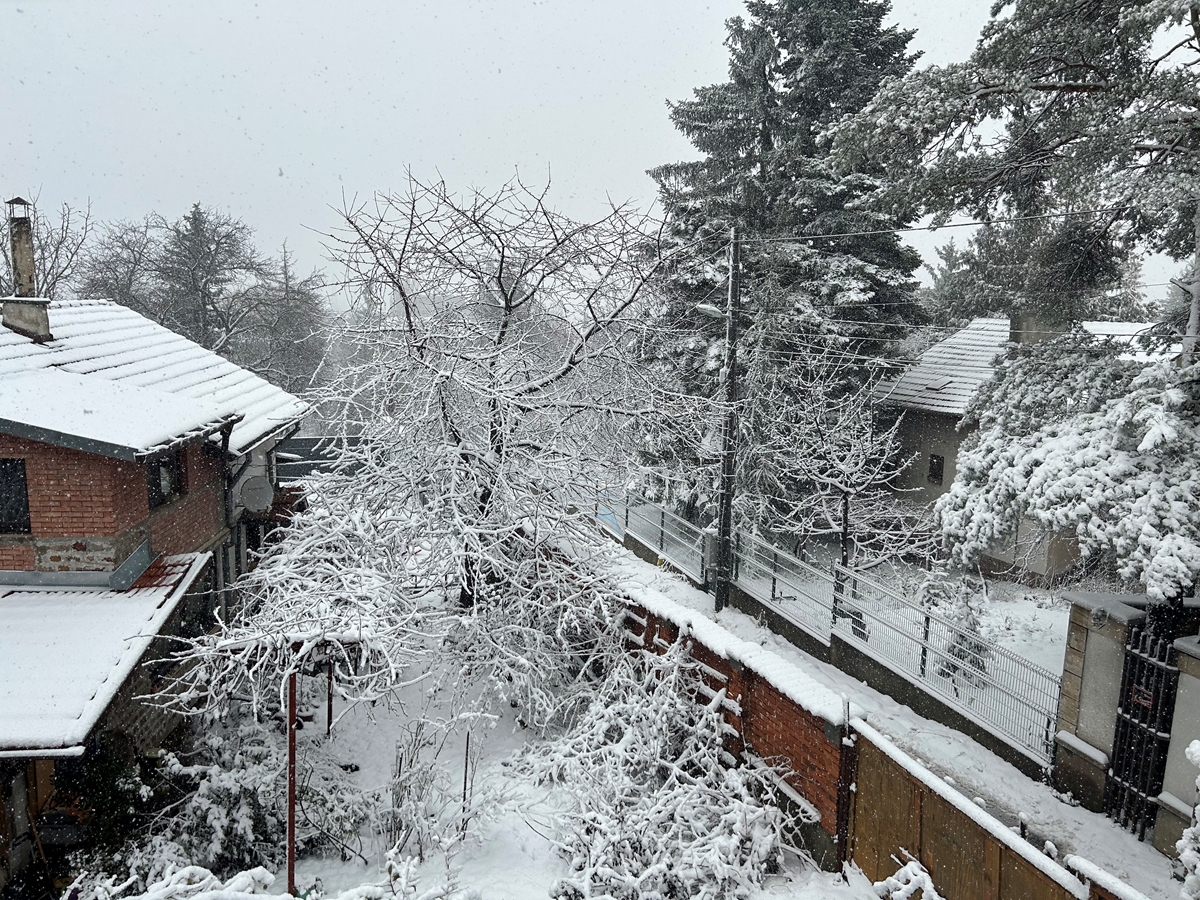 Вижте снежната приказка в София (Галерия)