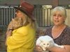 Безпрецедентен юридически казус заради 10 котки и 2 кучета в Пловдив