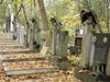 Само 90 свободни гроба има в Добрич