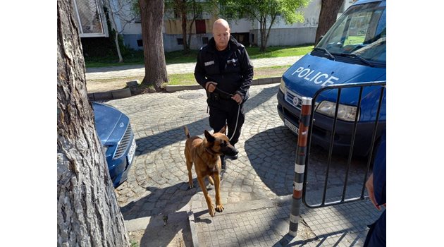 Полицай с куче влиза в СУ "Паисий Хилендарски" в Пловдив след отправената заплаха за бомба на 31 март.
