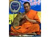 Котка прекъсна молитвата на будитски монах (Видео)