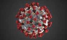 Математикът Огнян Кунчев: Вариантът на вируса "омикрон" идва у нас около 15 декември