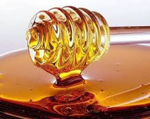 Странджанският мед поиска европейска закрила
