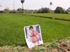 Постер на порно звезда увеличи реколтата
от зелки на индийски фермер