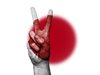 В Япония приеха спорен закон за борба с тероризма
