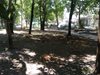 Възстановиха поливната система в парк "Сърнена гора" в Пловдив