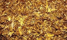 Намериха 70 кг. контрабанден тютюн в багажник във Варненско