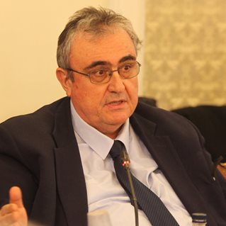 Огнян Минчев, политолог